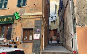 Carattino